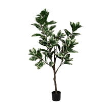 Decorative Plant Rubber 70 x 70 x 150 cm