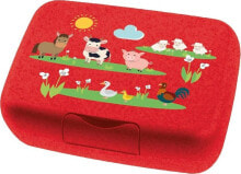 Koziol Lunchbox dziecięcy Candy L Farm 1425676