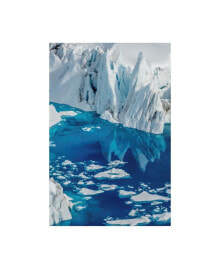 Trademark Global dan Ballard Iceberg Floating Canvas Art - 19.5