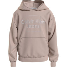 CALVIN KLEIN JEANS Metallic Box Logo Relaxed Hoodie