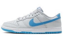 Nike Dunk Low Retro 防滑减震耐磨 低帮 板鞋 蓝灰色 / Кроссовки Nike Dunk Low Retro DV0831-001