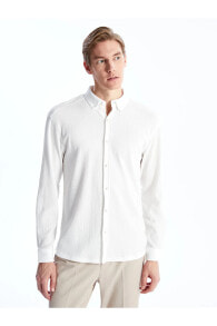 Men's Shirts