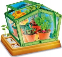 Educational and educational toys