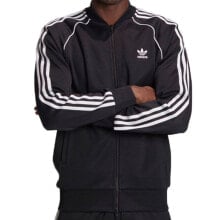 Men's Sports Jackets