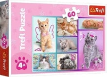 Children's educational puzzles