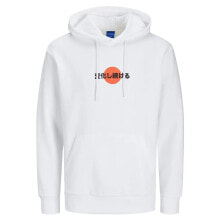 JACK & JONES Bradley Behind Hoodie