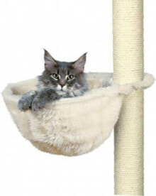 Scratching posts for cats