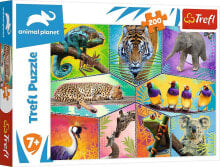 Trefl Puzzle 200el W egzotycznym świecie. Discovery Animal Planet 13280 Trefl p12