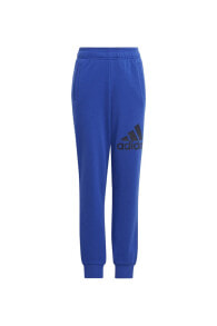 Men's Sweatpants