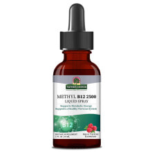 B vitamins nature&#039;s Answer Methyl B12 Liquid Spray -- 2500 mcg - 1 fl oz