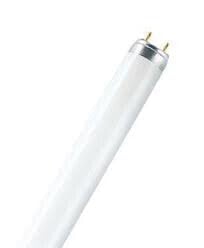 Лампочки Osram L 36 W/950 люминисцентная лампа G13 Дневное освещение B 4008321423047