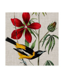 Trademark Global john James Audubon Avian Crop I Canvas Art - 27