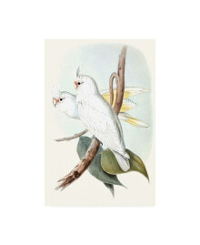 Trademark Global john Gould Pastel Parrots II Canvas Art - 15