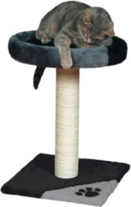 Scratching posts for cats