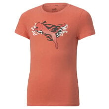 PUMA Alpha T-Shirt