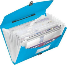 School files and folders