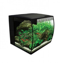 Products for fish and reptiles