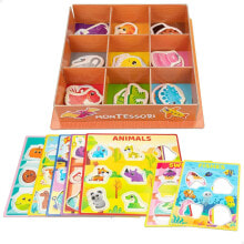 LISCIANI Box Colours Classification Children´S Game 53 Montessori Figures