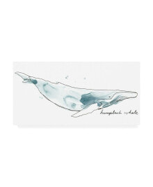 Trademark Global june Erica Vess Cetacea Humpback Canvas Art - 27