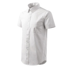 Men's Shirts