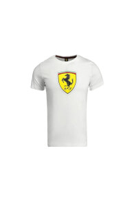 Men's sports T-shirts and T-shirts