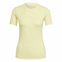 Women's Sports T-shirts and Tops