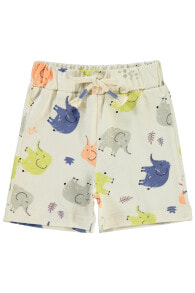 Children's shorts for boys