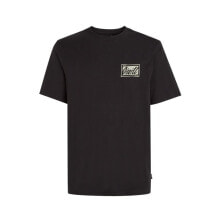 Купить мужские спортивные футболки и майки ONeill: O'neill Beach Graphic T-shirt M 92800613980
