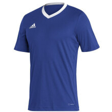 Мужская спортивная футболка T-shirt adidas Entrada 22 JSY M HG6283