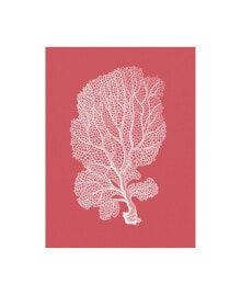 Trademark Global fab Funky Corals White on Coral C Canvas Art - 36.5