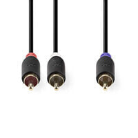 Nedis CABW24000AT30 - 2 x RCA - Male - RCA - Male - 3 m - Anthracite