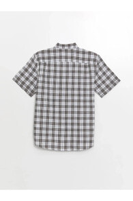 Men's Shirts