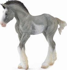 Figurka Collecta Źrebię Clydesdale Foal Blue Roan (004-88626)