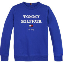 TOMMY HILFIGER KB0KB08713 Sweatshirt