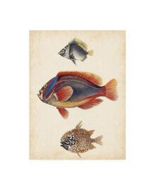 Trademark Global unknown Antique Fish Species IV Canvas Art - 20