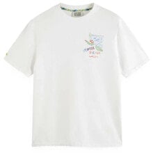 Men's sports T-shirts and T-shirts