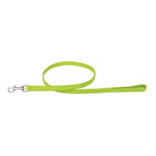 COLLAR PET Leather leash