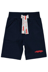 Children's shorts for boys