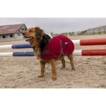 DIEGO & LOUNA Teddy Nylon Dog Jacket