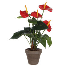 Kunstpflanze Anthurium