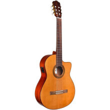 Acoustic guitars