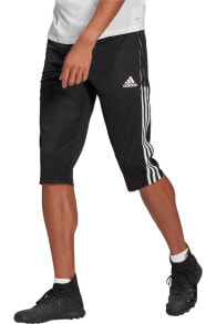 Men's Sports Shorts