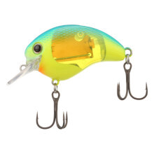 Baits and jigs for fishing