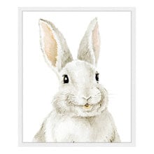 Bild Bunny