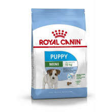 Fodder Royal Canin Mini Puppy Kid/Junior Rice Birds 4 Kg