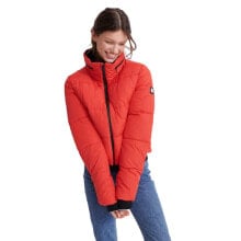 SUPERDRY Essentials Padded Jacket