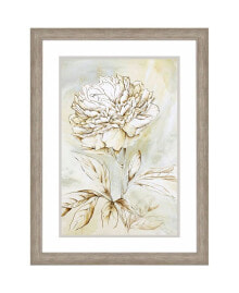 Paragon Picture Gallery beauty Within II Framed Art