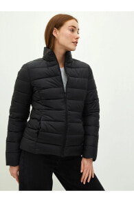 Women's Outerwear