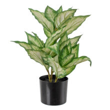 Декоративное растение полиэтилен PEVA Dieffenbachia 42 x 42 x 52 cm