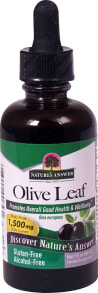 Растительные экстракты и настойки nature's Answer Olive Leaf Herbal Supplement Экстракт листьев оливы, без спирта 1500 мг 60 мл